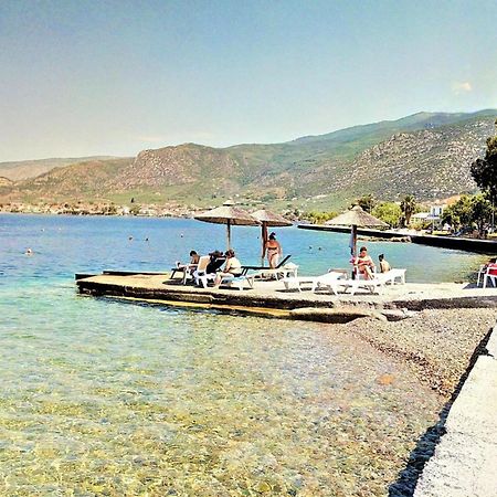 فيلا Aethra House In Agria Volou المظهر الخارجي الصورة